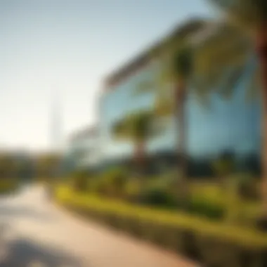 Magnificent Exploring Khalifa Park: A Jewel in Dubai's Urban Landscape Magnificent Exploring Khalifa Park: A Jewel in Dubai's Urban Landscape