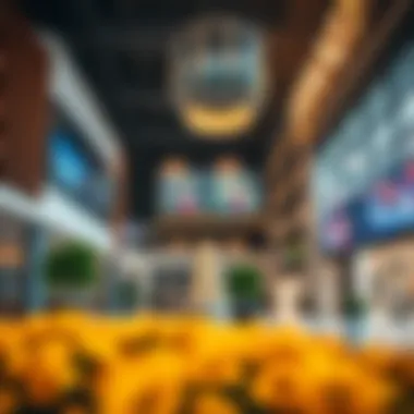 Magnificent Exploring Spinneys Town Square: A Comprehensive Insight Magnificent Exploring Spinneys Town Square: A Comprehensive Insight