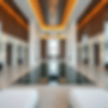 Magnificent Exploring Tranquil Wellness Residences in Dubai Magnificent Exploring Tranquil Wellness Residences in Dubai