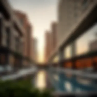 Magnificent Impacts of a Five-Year Residency in the UAE Magnificent Impacts of a Five-Year Residency in the UAE