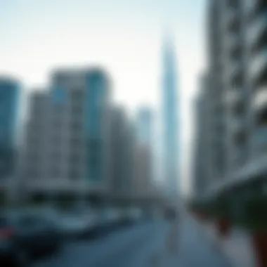 Magnificent Navigating the Role of Mushrif in Dubai's Real Estate Magnificent Navigating the Role of Mushrif in Dubai's Real Estate