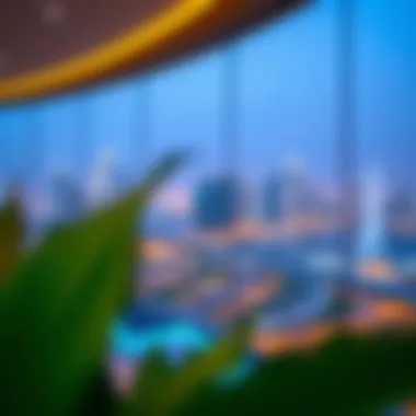 Panoramic view of Dubai skyline from Address Fountain Views Residence