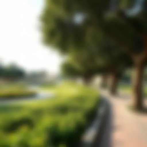 Lush greenery of Al Mujarrah Park