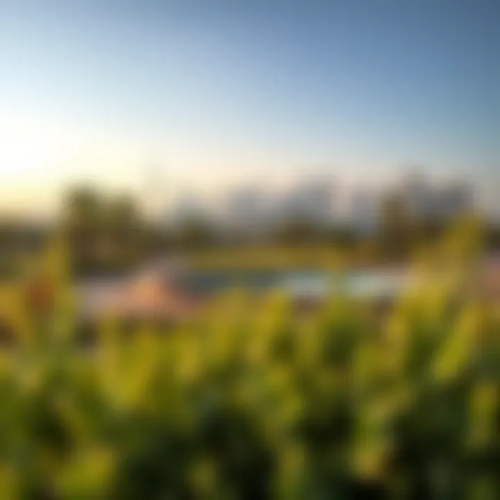 Scenic landscape view of Al Mujarrah Park with Dubai skyline