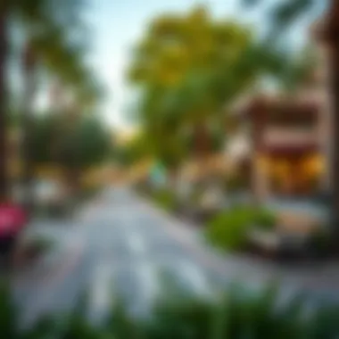 Amber Studio City Community Park Vibrant community park in Amber Studio City perfect for leisure activities