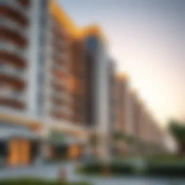 An Analytical Overview of Tasheel Dubai Summary An Analytical Overview of Tasheel Dubai Summary
