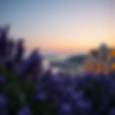 Investment potential overview of Binghatti Lavender