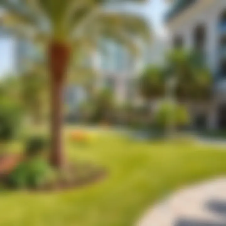 Vibrant green spaces and community areas within Central Park Plaza Meraas