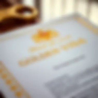 A close-up of the Golden Visa document.