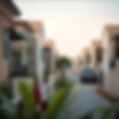 A beautiful neighborhood in Dubai featuring affordable housing options