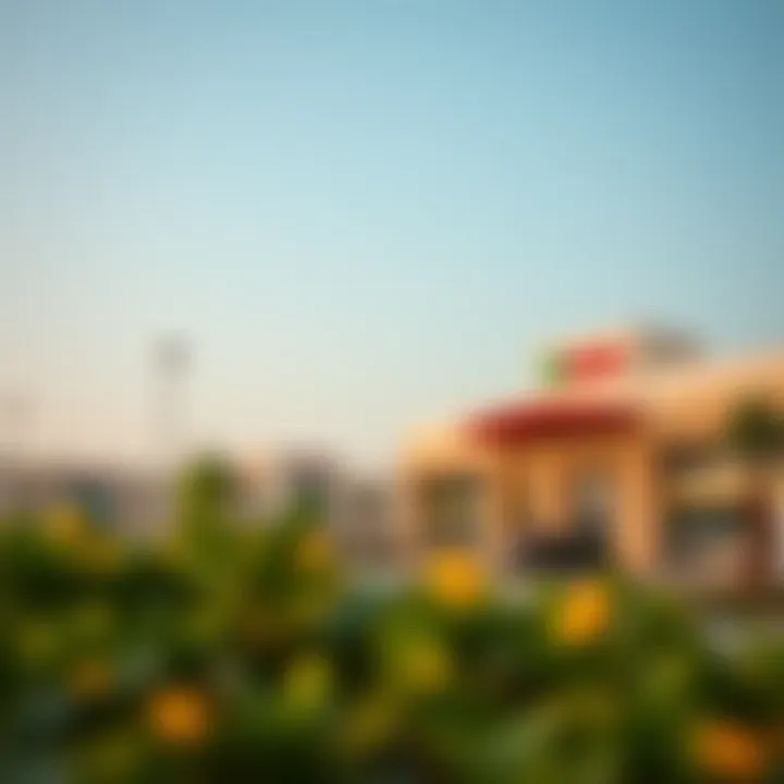 Local amenities in Al Awir including parks and shopping centers