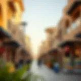 Exploring Arabian Ranches 2 Souk: A Hub of Community and Commerce Introduction