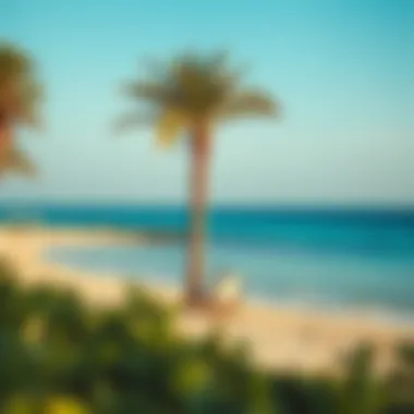 Relaxing Beach Getaway in Dubai Scenic beach with clear waters and palm trees