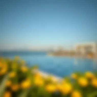 Luxury Amenities by the Shore Luxurious beachfront amenities at Dubai Creek Harbour