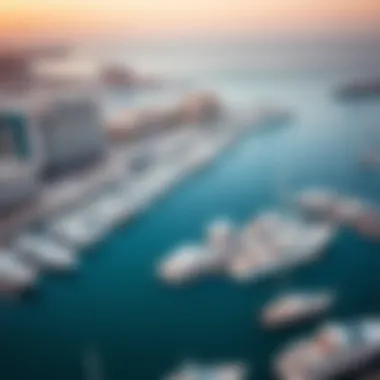 An aerial shot showcasing the vibrant marina and cruise options