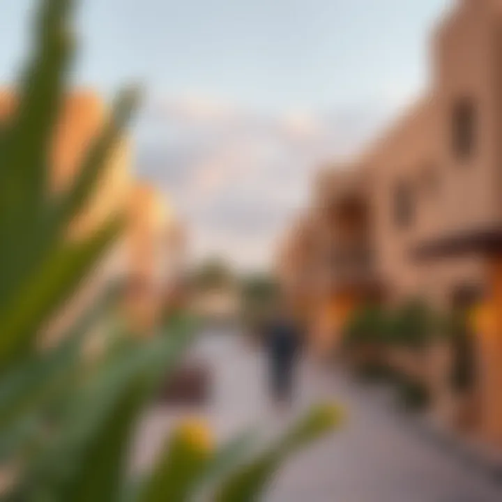 Vibrant community spaces in Al Nahda 2