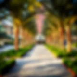 Exploring Khalifa Park: A Jewel in Dubai's Urban Landscape Introduction