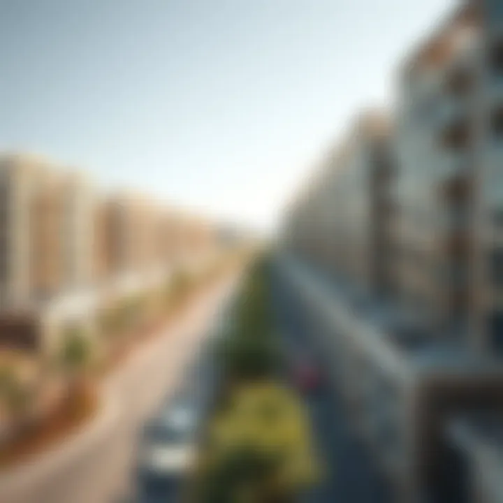 Modern urban development in Dubai's vicinity