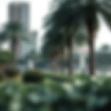 A conceptual illustration of the benefits of living near parks in Dubai