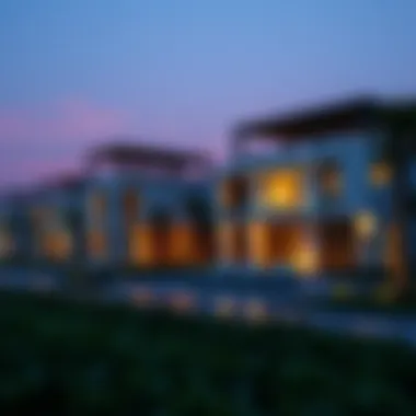 Investment Opportunities on Sir Banyas Island Investment opportunities in the vibrant market of Sir Banyas Island