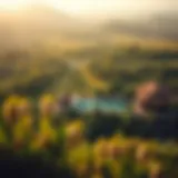 Lush landscapes of Sir Banyas Island