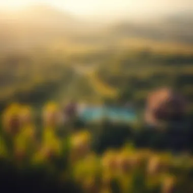 Lush Landscapes of Sir Banyas Island Lush landscapes of Sir Banyas Island