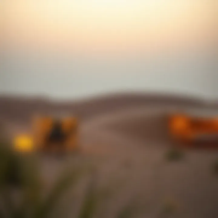 Exploring the Bedouin Camp Experience in Dubai Summary