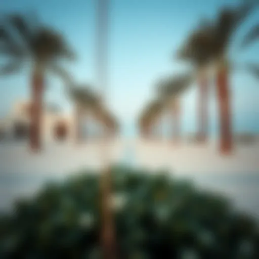 Exploring the Distinct Appeal of Raha Beach Introduction