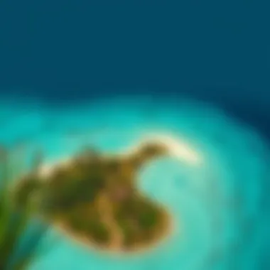 Aerial view of Palm Island showcasing its unique palm tree shape