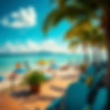 Vibrant leisure facilities on Palm Island, including beach and recreational areas