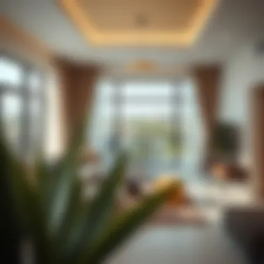 Optimized Layout for Family Living Optimized layout for family living