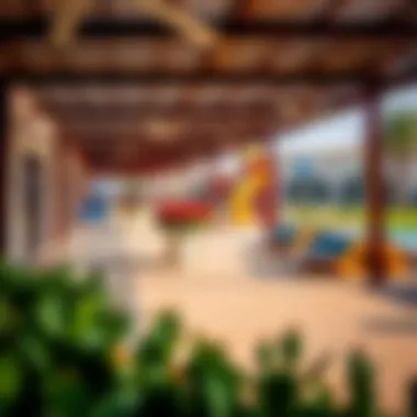 Community amenities in the Meadows, showcasing recreational areas