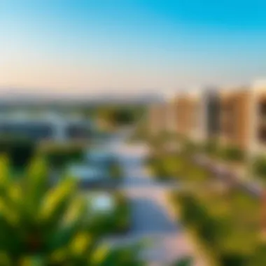 A panoramic view of the Meadows community showcasing lush greenery and modern architecture