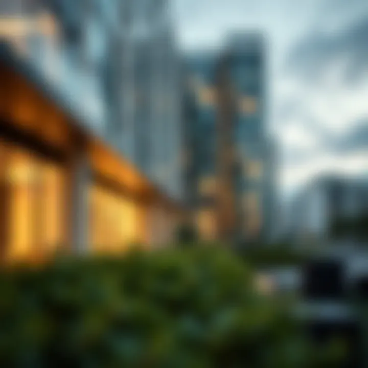 Architectural Details of Park Vista Close-up shot of architectural details in Park Vista reflecting urban design