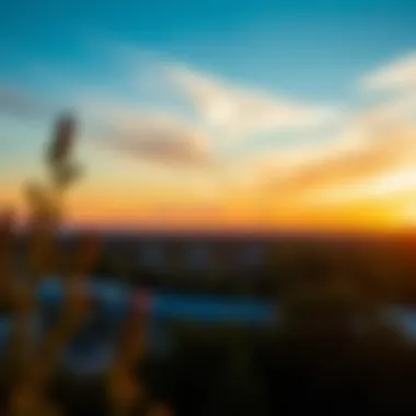 Sunset Over Park Vista Sunset view over Park Vista highlighting the interplay of light and nature