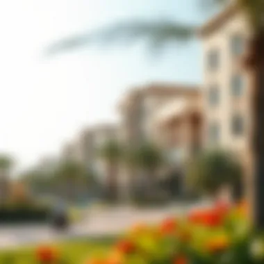 Rashidiya neighborhood park and community area