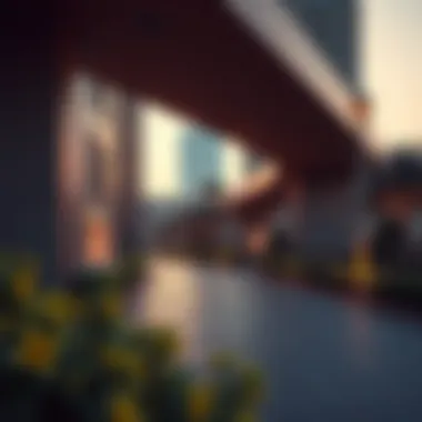 Illustration depicting the accessibility routes to Petalz by Danube