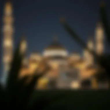 A serene view of a traditional mosque illuminated at night during Ramadan
