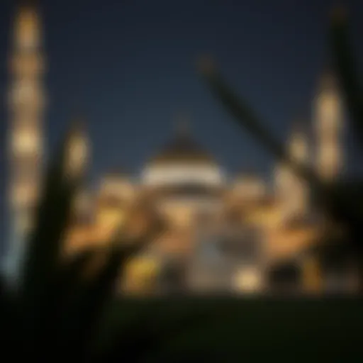 Illuminated Mosque during Ramadan A serene view of a traditional mosque illuminated at night during Ramadan