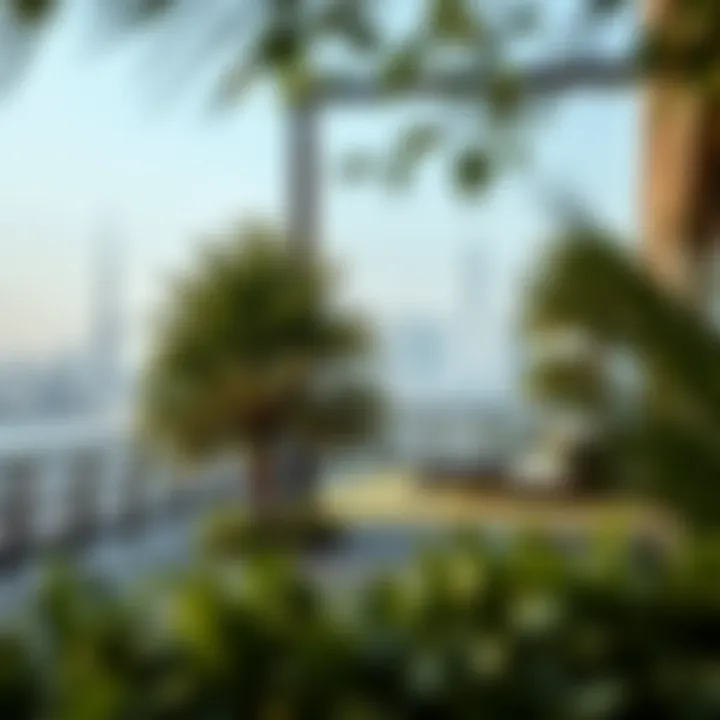 Tranquil Outdoor Escapes in Dubai Serene outdoor space with lush greenery and city backdrop