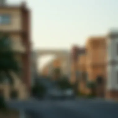 Demographic Diversity in Al Nahda 1 Visual representation of demographic diversity in Al Nahda 1