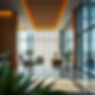 Understanding Residency Procedures in the UAE Summary