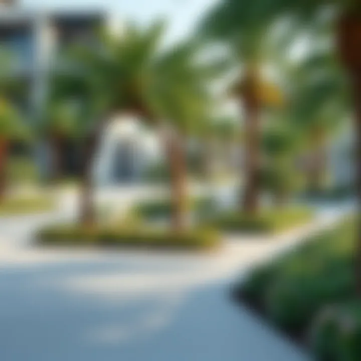 A picturesque park in Dubai ideal for discussions